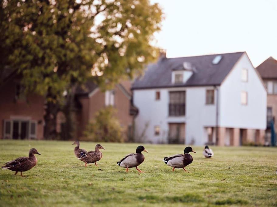 Castleford Cottage , Lowermill Estate Somerford Keynes Bagian luar foto